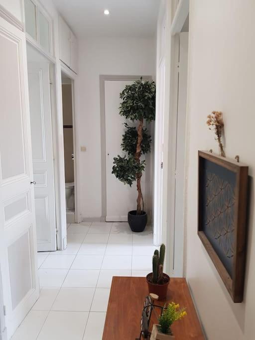 Cosy 3 Pieces Proche Apartment Nizza